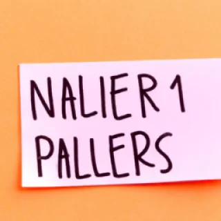 Non parler ingles