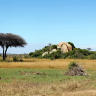 Savane
