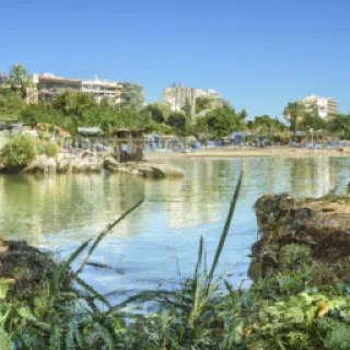 Saloua