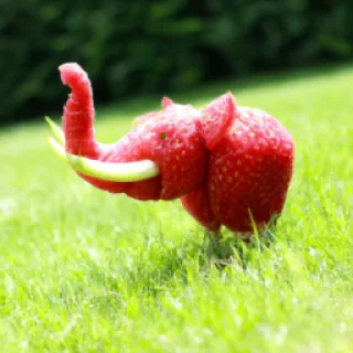 Strawberies éléphant