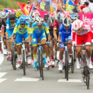 Allez Johan zarko