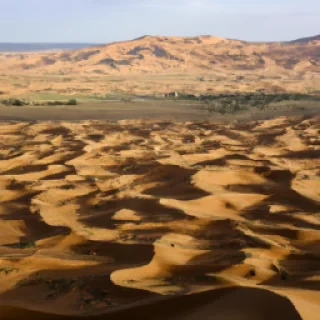 Merzougui