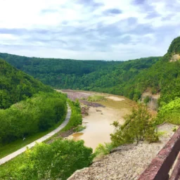 Abigailmills5679@gmail.com