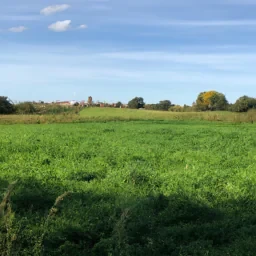 Je voudrais générer une photo merci